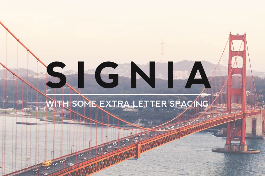 Signia Pro